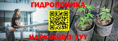PSILOCYBIN Малоярославец