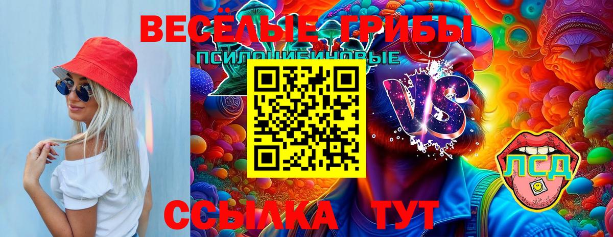 Псилоцибиновые грибы мицелий Усть-Джегута