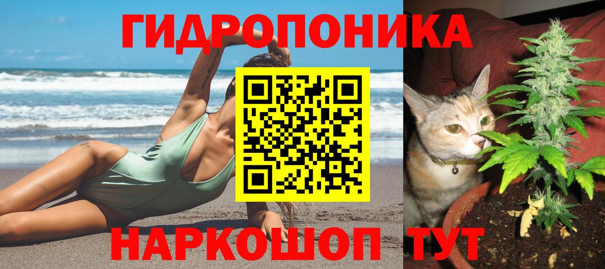 Каннабис планчик Усть-Джегута
